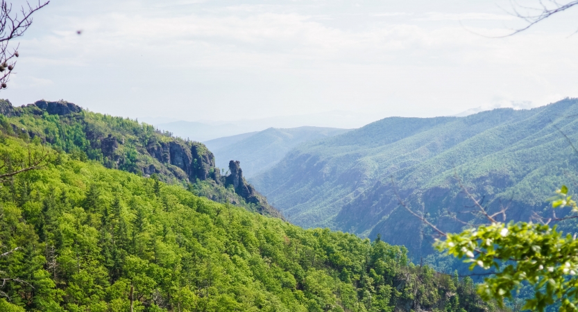 From a high elevation, the vast landscape of the Blue Ridge mountains stretches out for miles. 